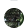 Tony profile photo